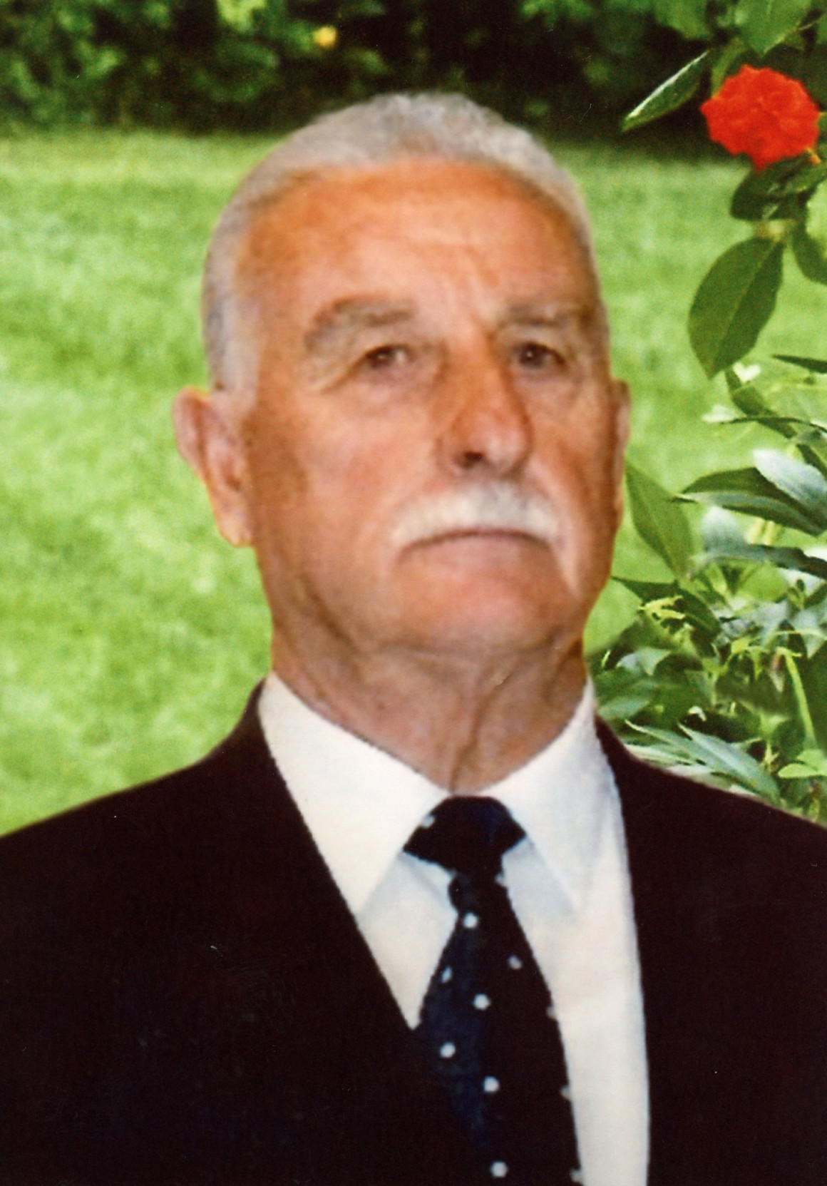 AVALLE GIOVANNI BATTISTA