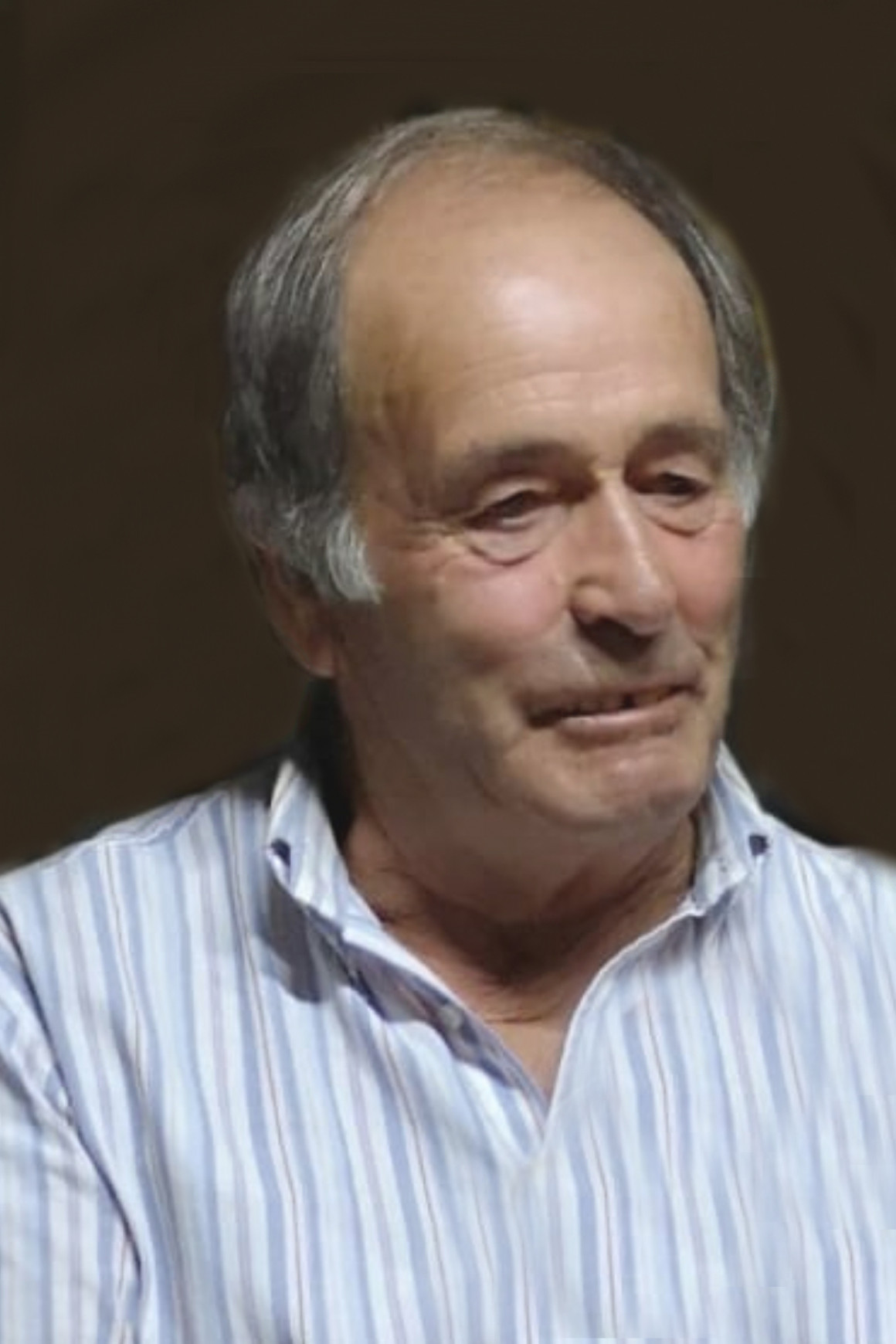 Michele Vinoni